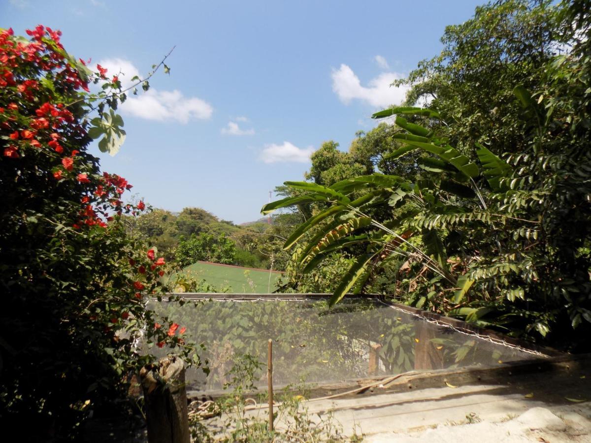 Hostal Colibri Minca มินกา ภายนอก รูปภาพ
