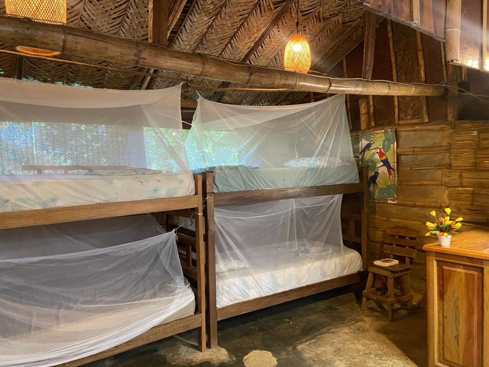 Hostal Colibri Minca มินกา ภายนอก รูปภาพ